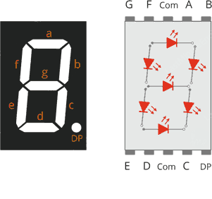 ساختار داخلی هفت LED و پین‌های آن در سون سگمنت 