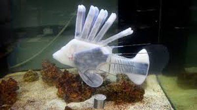 ربات ماهی با سیستم گردش خون